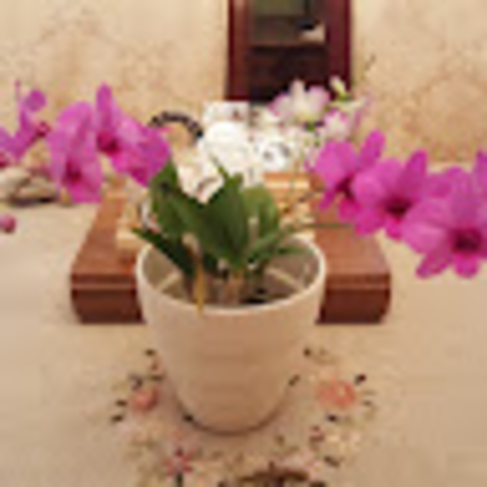 Meet your Posher, Kersha's orchids and garden's